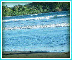 Surfing In Central America