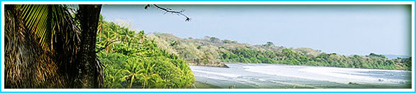 Surfing In Santa Catalina Panama